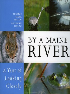 cover image of By a Maine River
